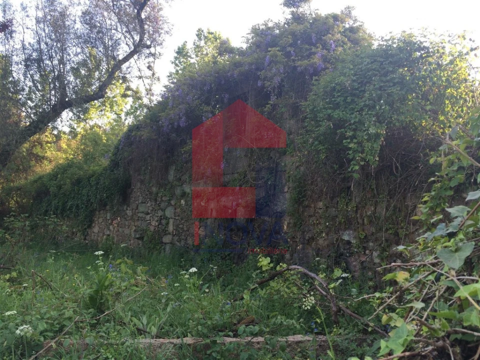Moradia T1 para Venda em Ribeira do Neiva Foto 4