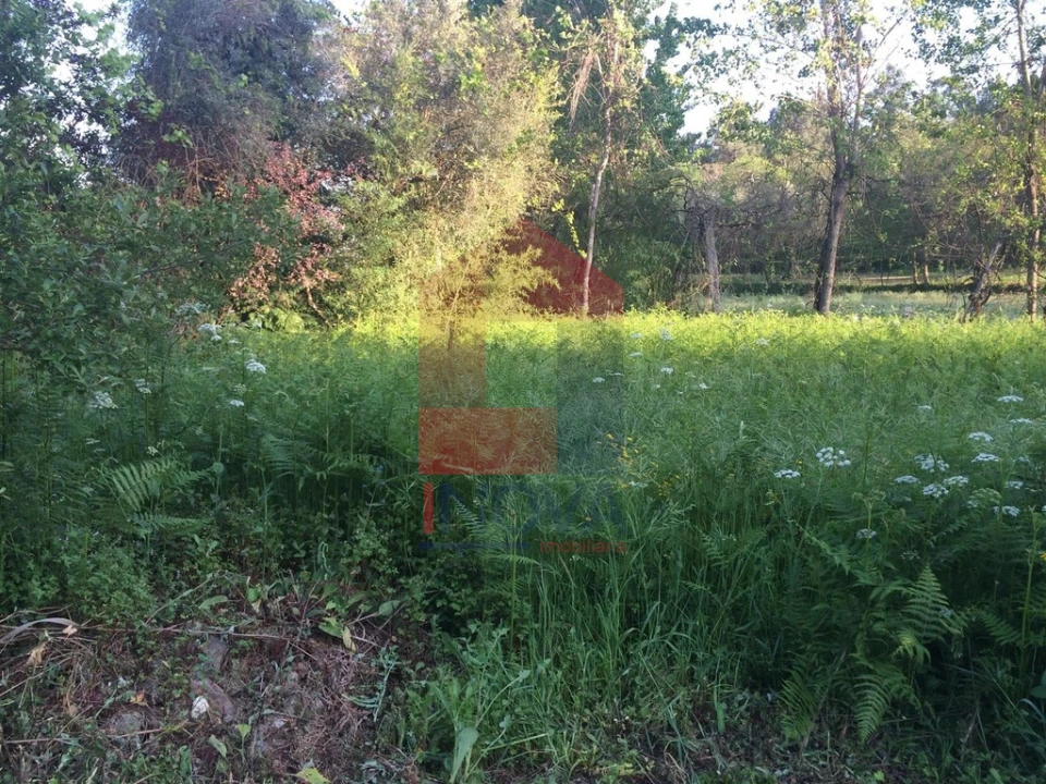 Moradia T1 para Venda em Ribeira do Neiva Foto 7