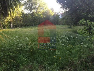 Moradia T1 para Venda em Ribeira do Neiva