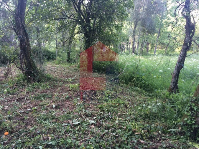 Moradia T1 para Venda em Ribeira do Neiva Foto 10