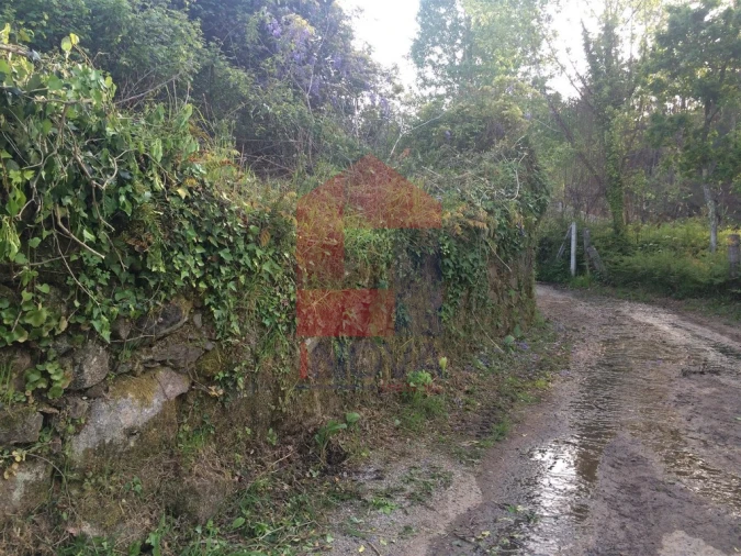 Moradia T1 para Venda em Ribeira do Neiva Foto 3