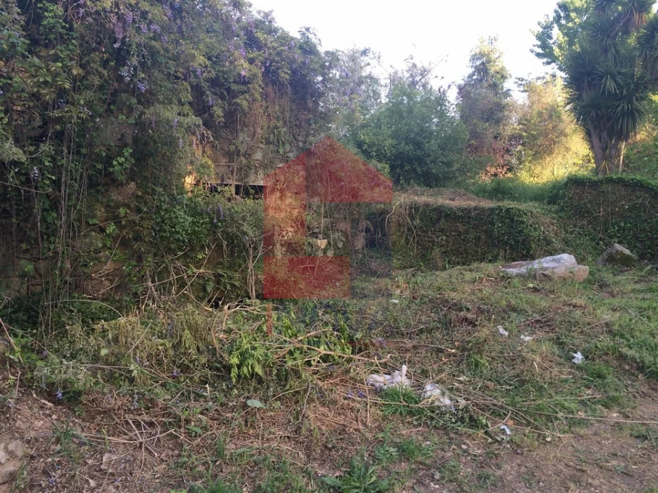 Moradia T1 para Venda em Ribeira do Neiva Foto 1