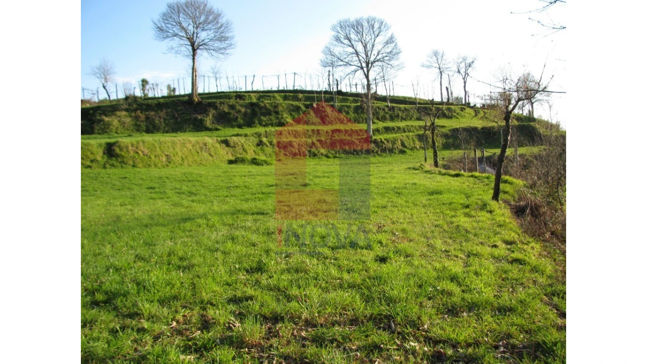 Terreno para Venda em Aboim da Nóbrega e Gondomar Foto 3