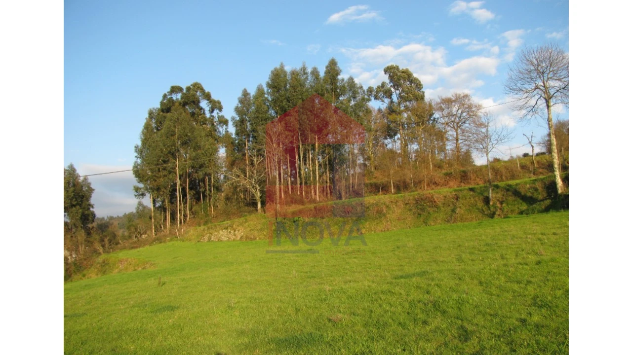 Terreno para Venda em Aboim da Nóbrega e Gondomar Foto 11