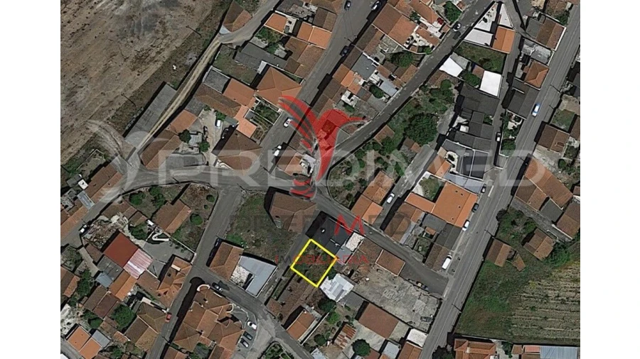 Terreno para Venda em Bombarral e Vale Covo Foto 3