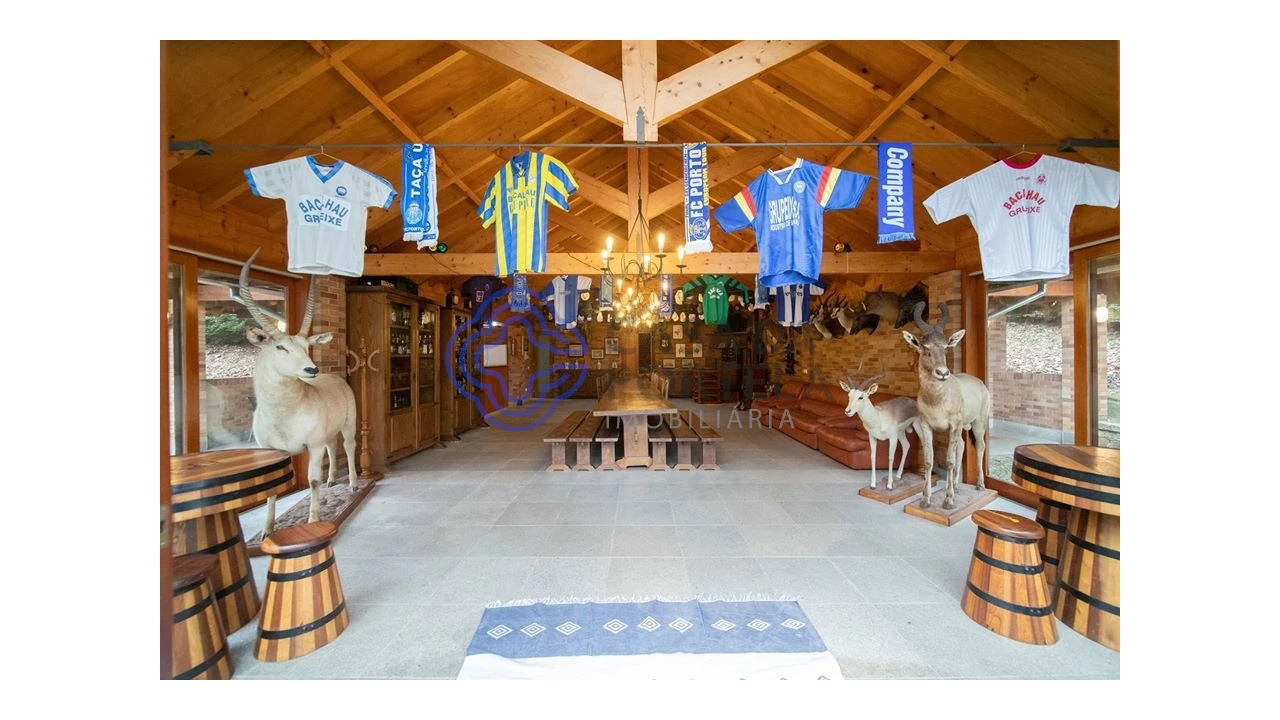 Quinta T10 para Venda em O. Azeméis, Riba-Ul, Ul, Macinhata Seixa, Madail Foto 46