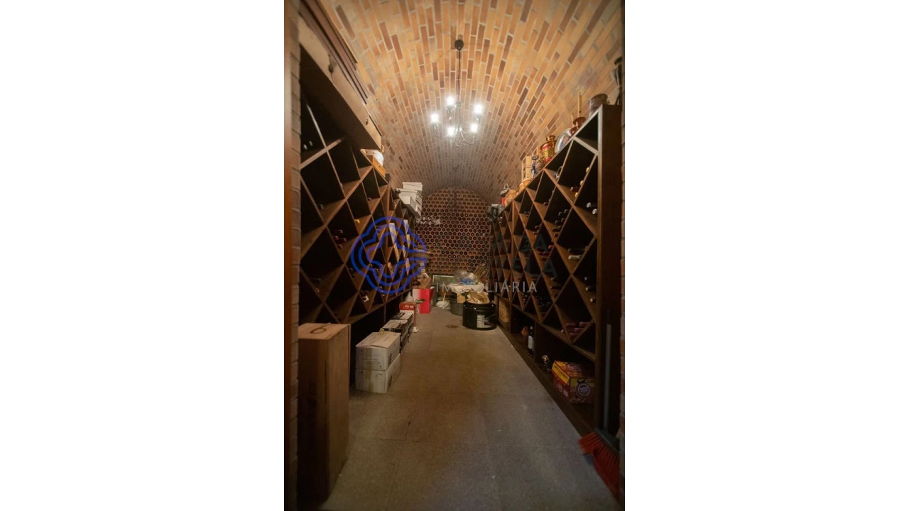 Quinta T10 para Venda em O. Azeméis, Riba-Ul, Ul, Macinhata Seixa, Madail Foto 45