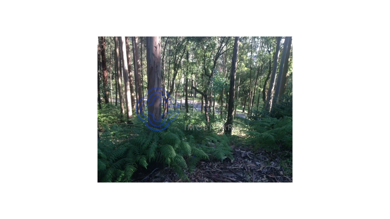 Quinta T10 para Venda em O. Azeméis, Riba-Ul, Ul, Macinhata Seixa, Madail Foto 76