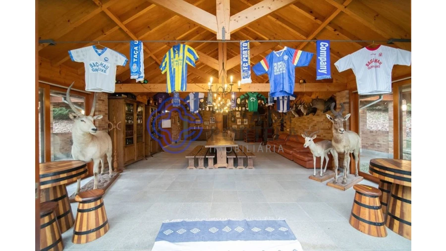 Quinta T10 para Venda em O. Azeméis, Riba-Ul, Ul, Macinhata Seixa, Madail Foto 46