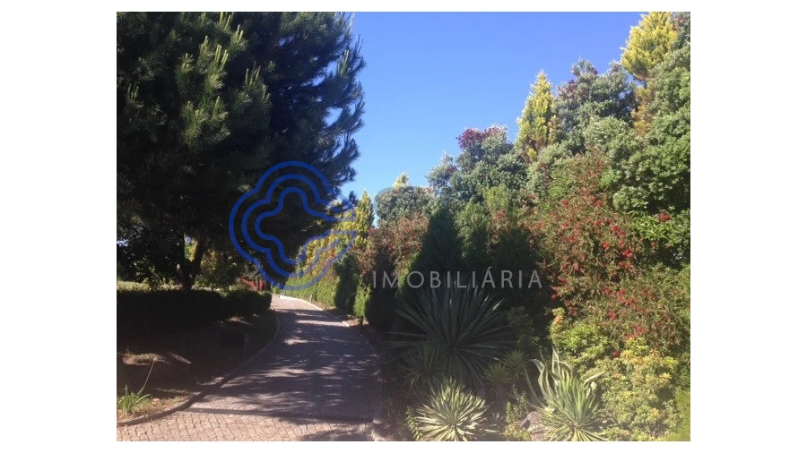 Quinta T10 para Venda em O. Azeméis, Riba-Ul, Ul, Macinhata Seixa, Madail Foto 40