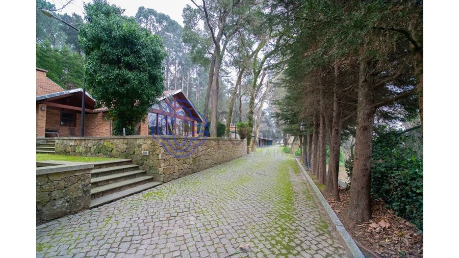 Quinta T10 para Venda em O. Azeméis, Riba-Ul, Ul, Macinhata Seixa, Madail Foto 16