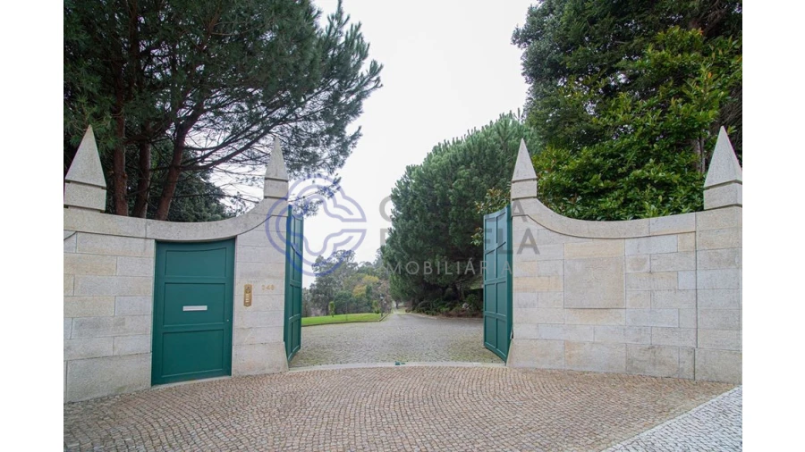 Quinta T10 para Venda em O. Azeméis, Riba-Ul, Ul, Macinhata Seixa, Madail Foto 52