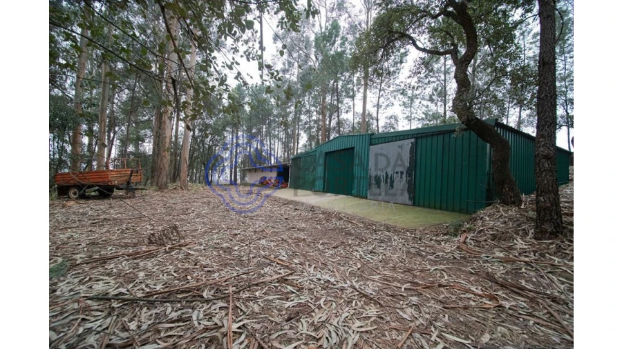 Quinta T10 para Venda em O. Azeméis, Riba-Ul, Ul, Macinhata Seixa, Madail Foto 9