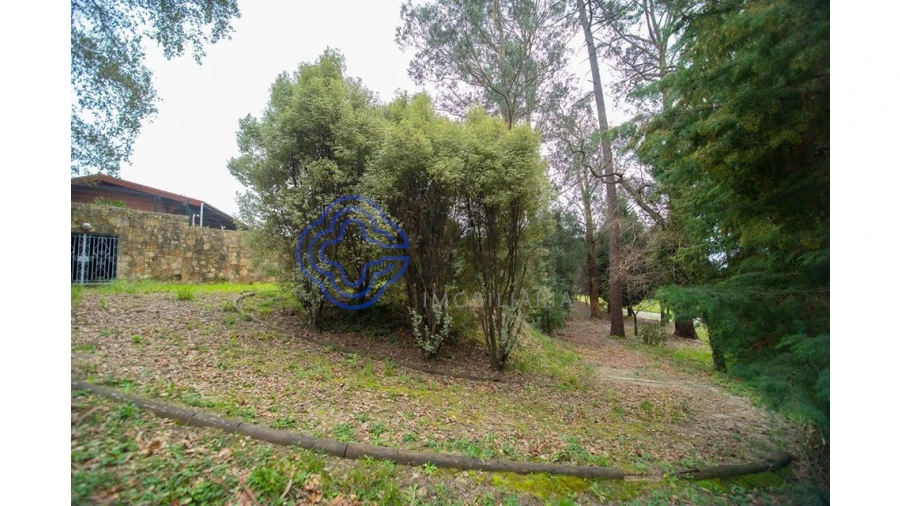 Quinta T10 para Venda em O. Azeméis, Riba-Ul, Ul, Macinhata Seixa, Madail Foto 66