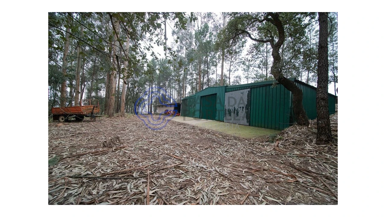 Quinta T10 para Venda em O. Azeméis, Riba-Ul, Ul, Macinhata Seixa, Madail Foto 9