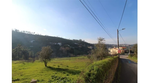 Terreno para Venda em Eiras e São Paulo de Frades