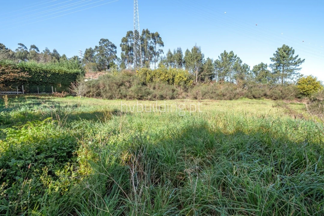 Terreno para Venda em Alvelos Foto 4