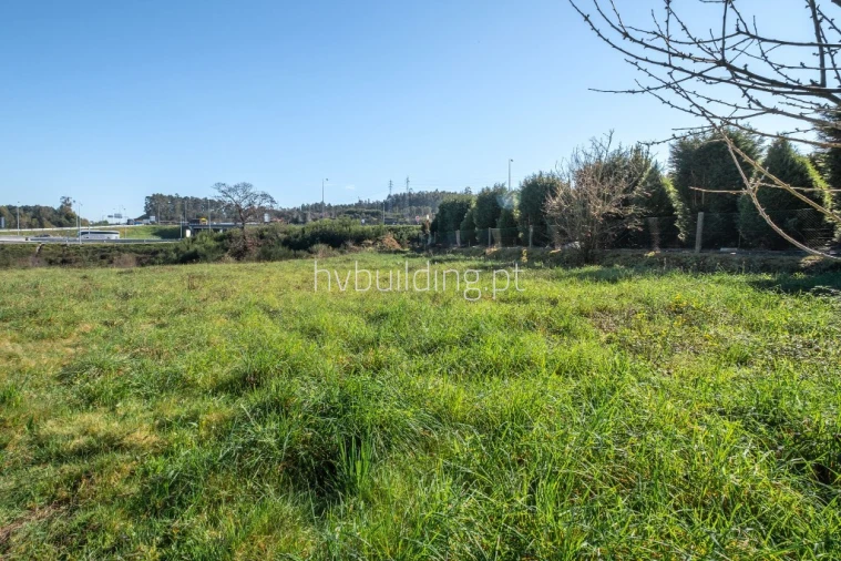 Terreno para Venda em Alvelos Foto 8