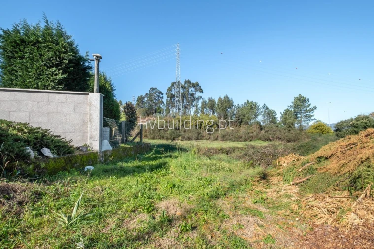 Terreno para Venda em Alvelos Foto 1
