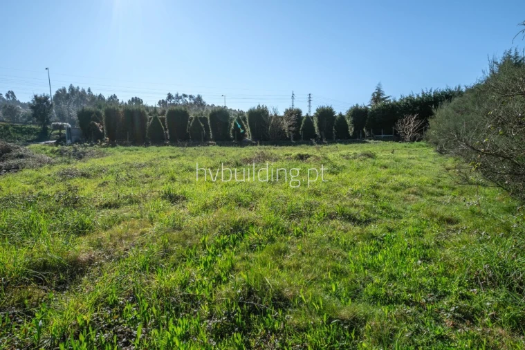 Terreno para Venda em Alvelos Foto 6