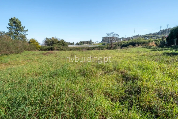 Terreno para Venda em Alvelos Foto 10