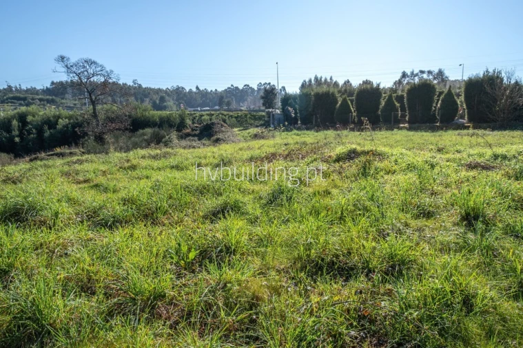 Terreno para Venda em Alvelos Foto 7