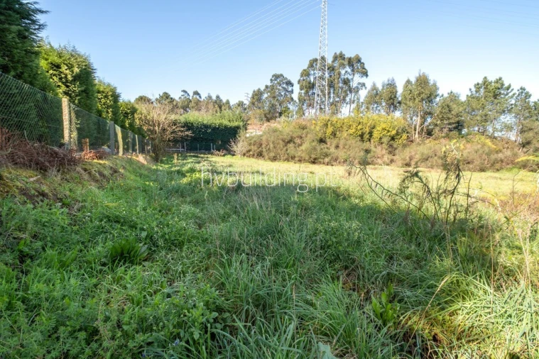 Terreno para Venda em Alvelos Foto 3