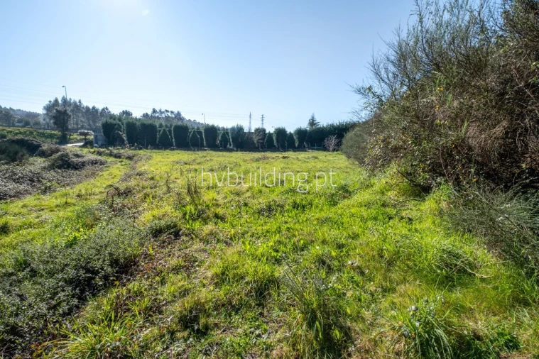 Terreno para Venda em Alvelos Foto 5