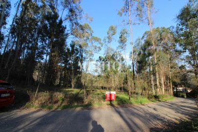 Terreno para Venda em Ribeira do Neiva