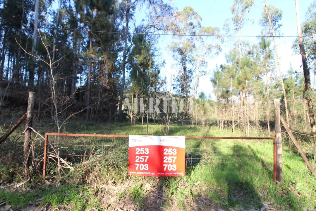 Terreno para Venda em Ribeira do Neiva Foto 1