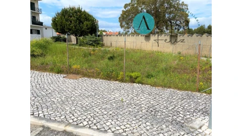Terreno para Venda em Ferreira do Zezere