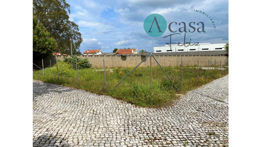 Terreno para Venda em Ferreira do Zezere Foto 3