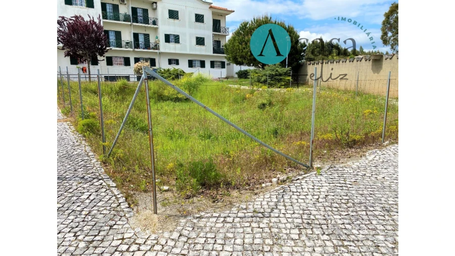 Terreno para Venda em Ferreira do Zezere Foto 2