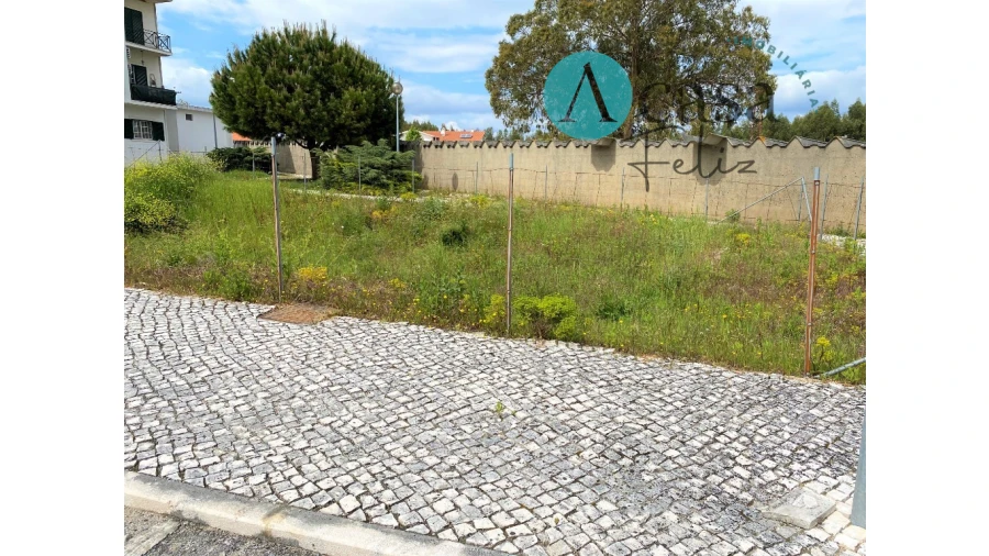 Terreno para Venda em Ferreira do Zezere Foto 5