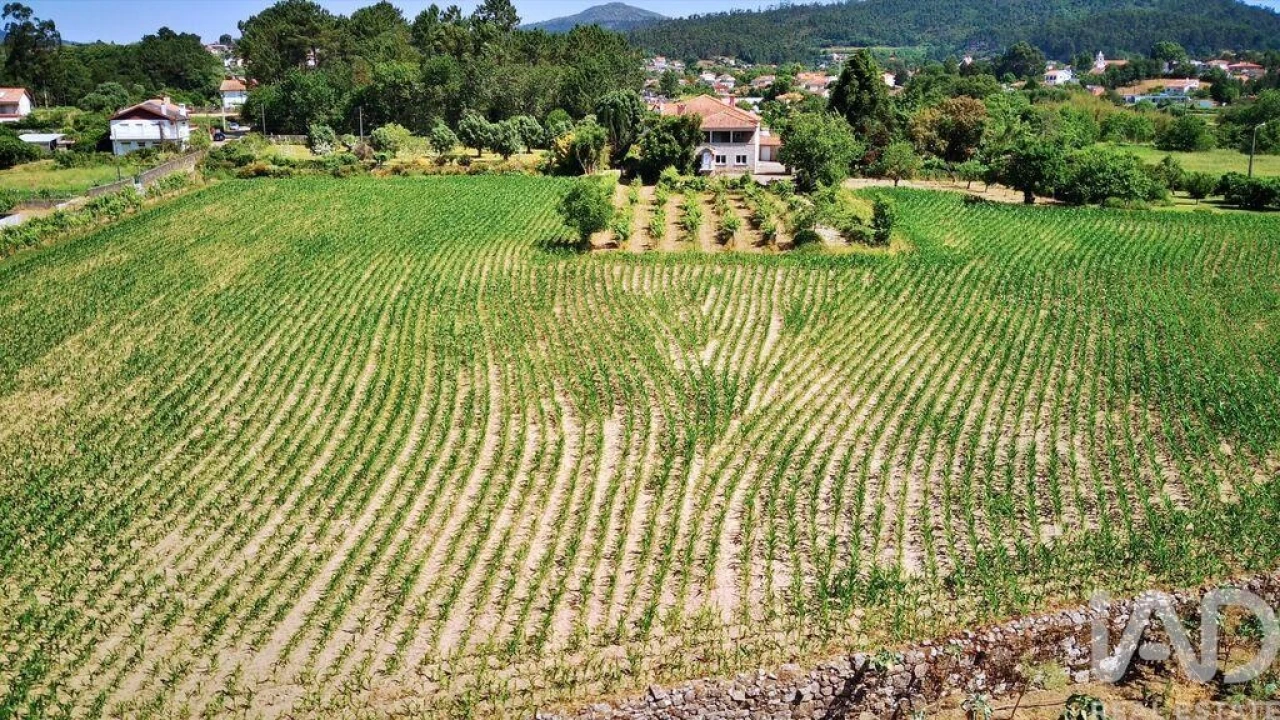 Moradia T8 para Venda em Cardielos e Serreleis Foto 12