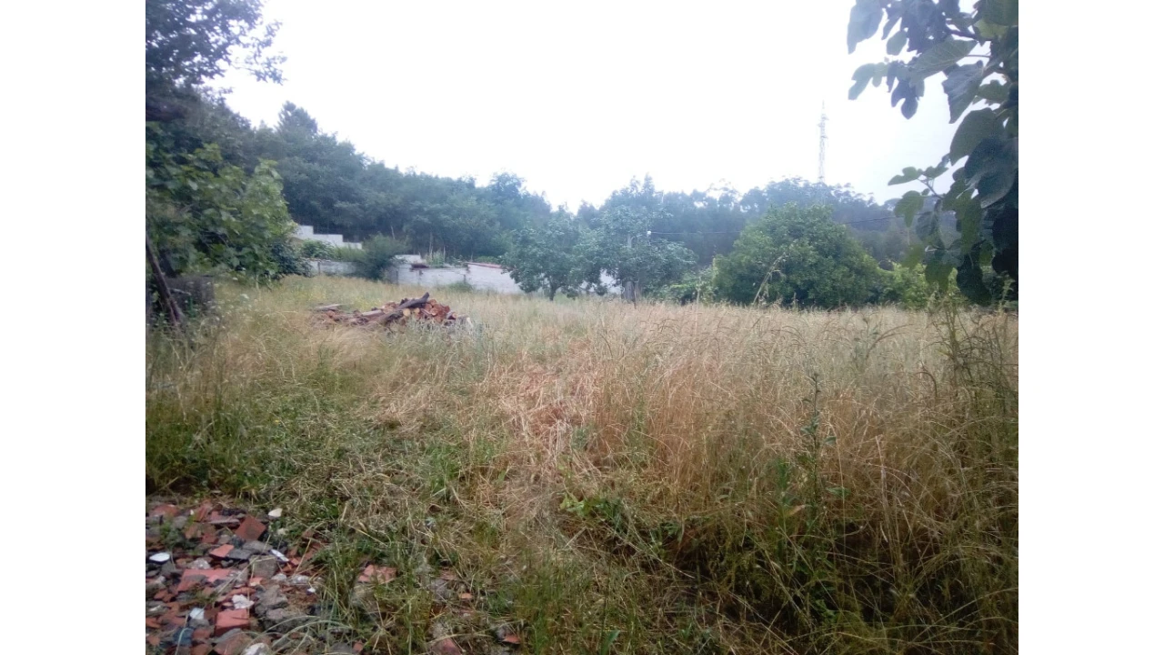 Terreno para Venda em Antuzede e Vil de Matos Foto 5