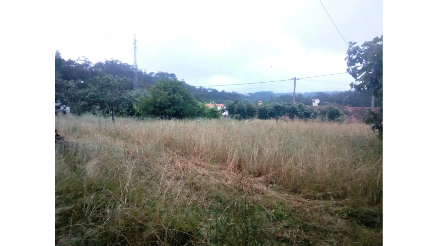 Terreno para Venda em Antuzede e Vil de Matos Foto 3