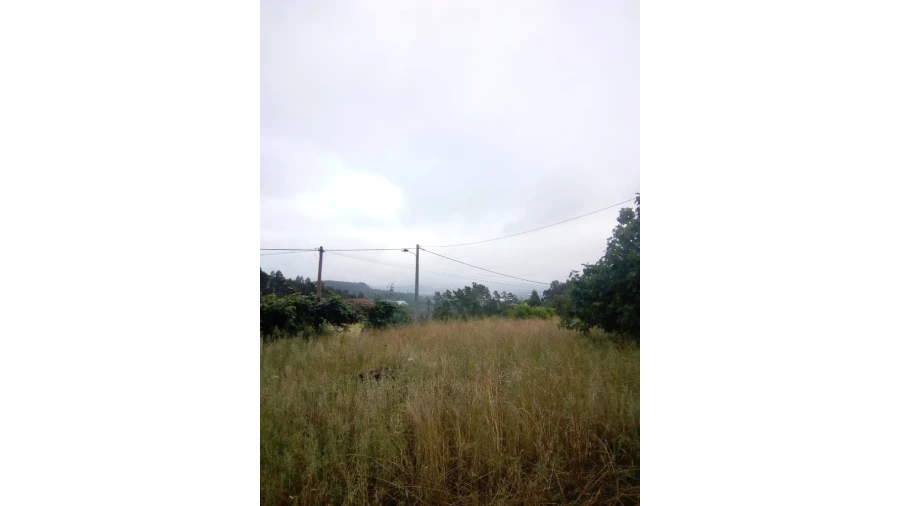Terreno para Venda em Antuzede e Vil de Matos Foto 2