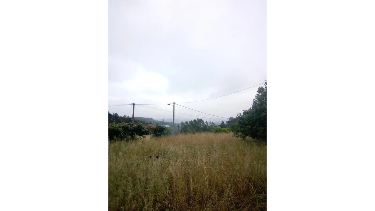 Terreno para Venda em Antuzede e Vil de Matos Foto 2
