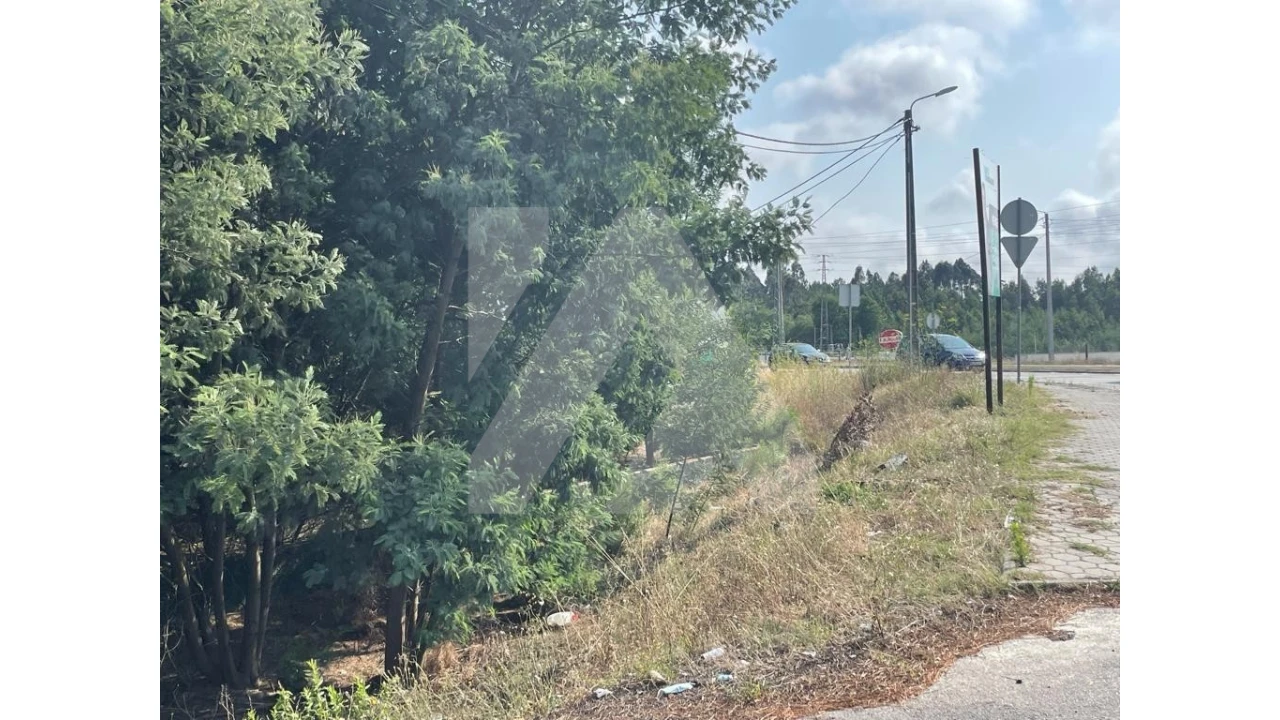 Terreno para Venda em Ovar, São João, Arada e São Vicente de Pereira Jusã Foto 5