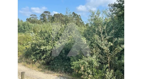 Terreno para Venda em Ovar, São João, Arada e São Vicente de Pereira Jusã
