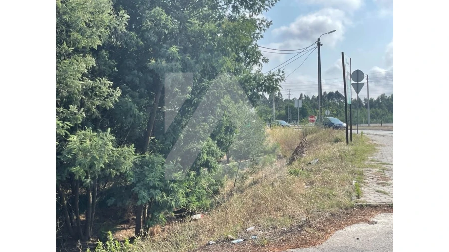 Terreno para Venda em Ovar, São João, Arada e São Vicente de Pereira Jusã Foto 5