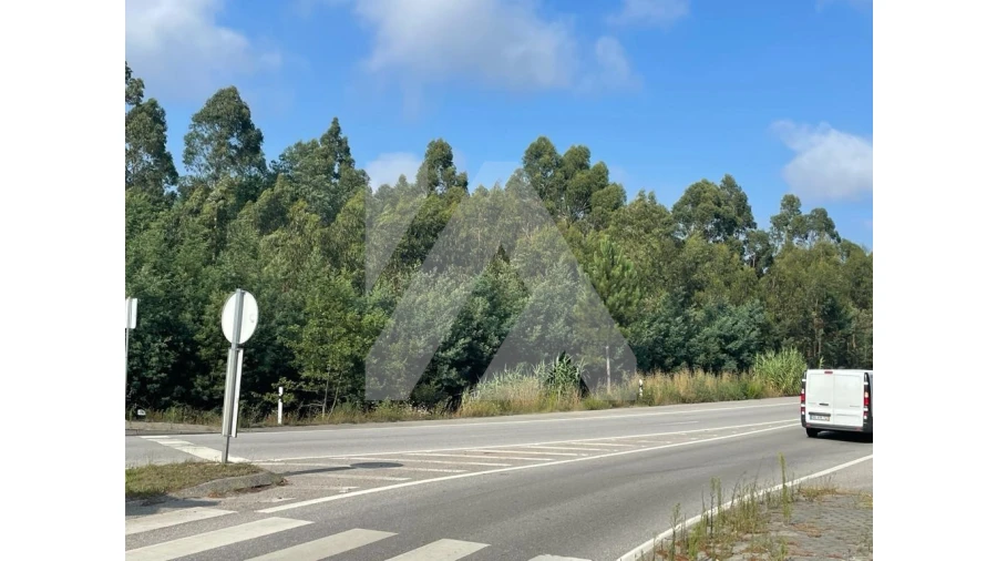 Terreno para Venda em Ovar, São João, Arada e São Vicente de Pereira Jusã Foto 4