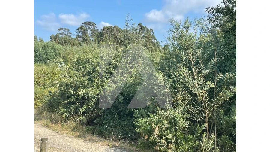 Terreno para Venda em Ovar, São João, Arada e São Vicente de Pereira Jusã Foto 3