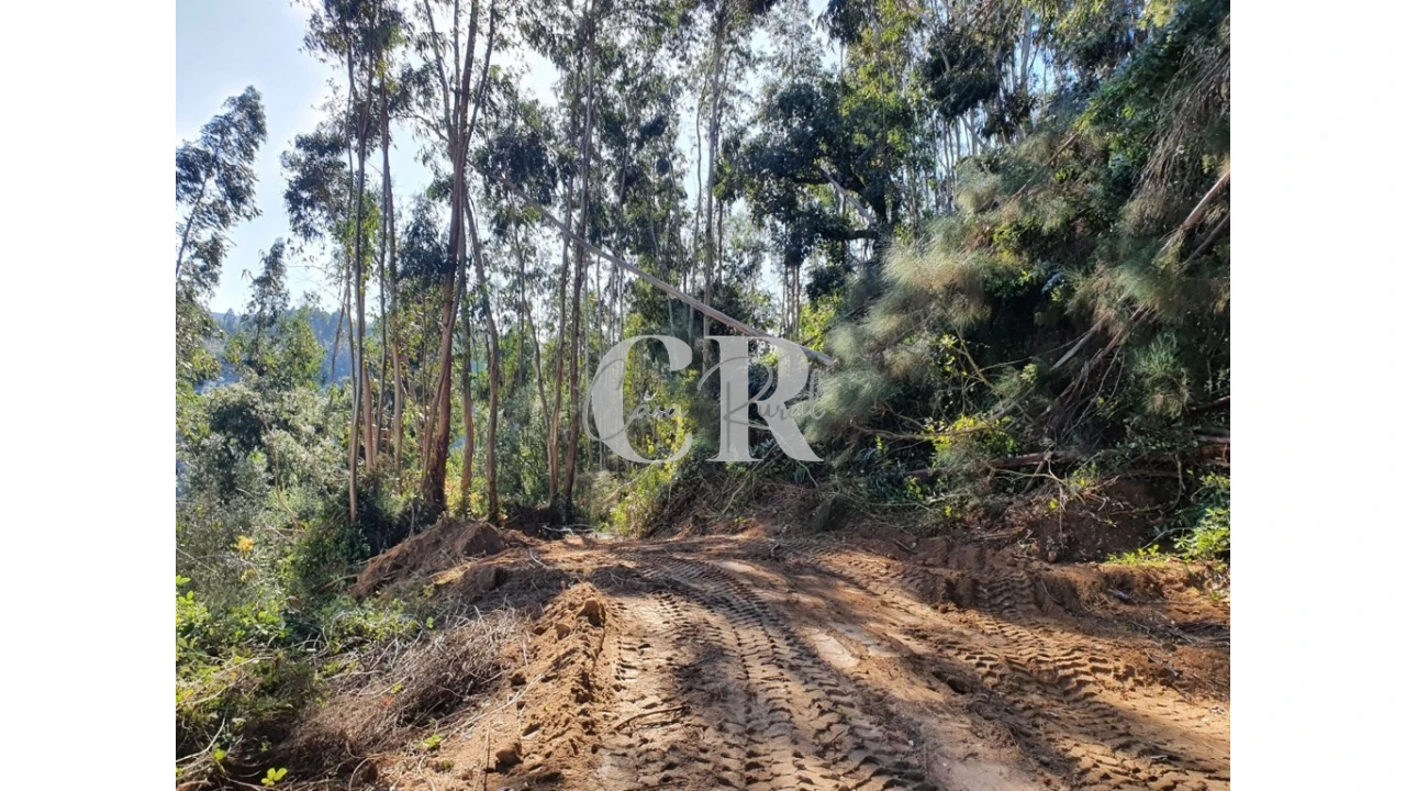 Terreno para Venda em Pedrogão Grande Foto 2
