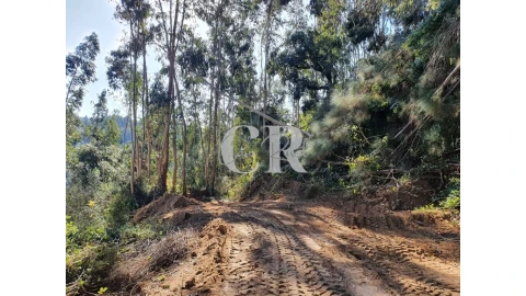 Terreno para Venda em Pedrogão Grande
