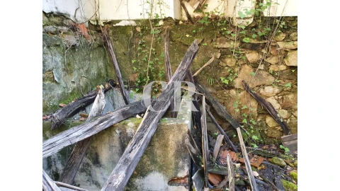 Terreno para Venda em Pedrogão Grande