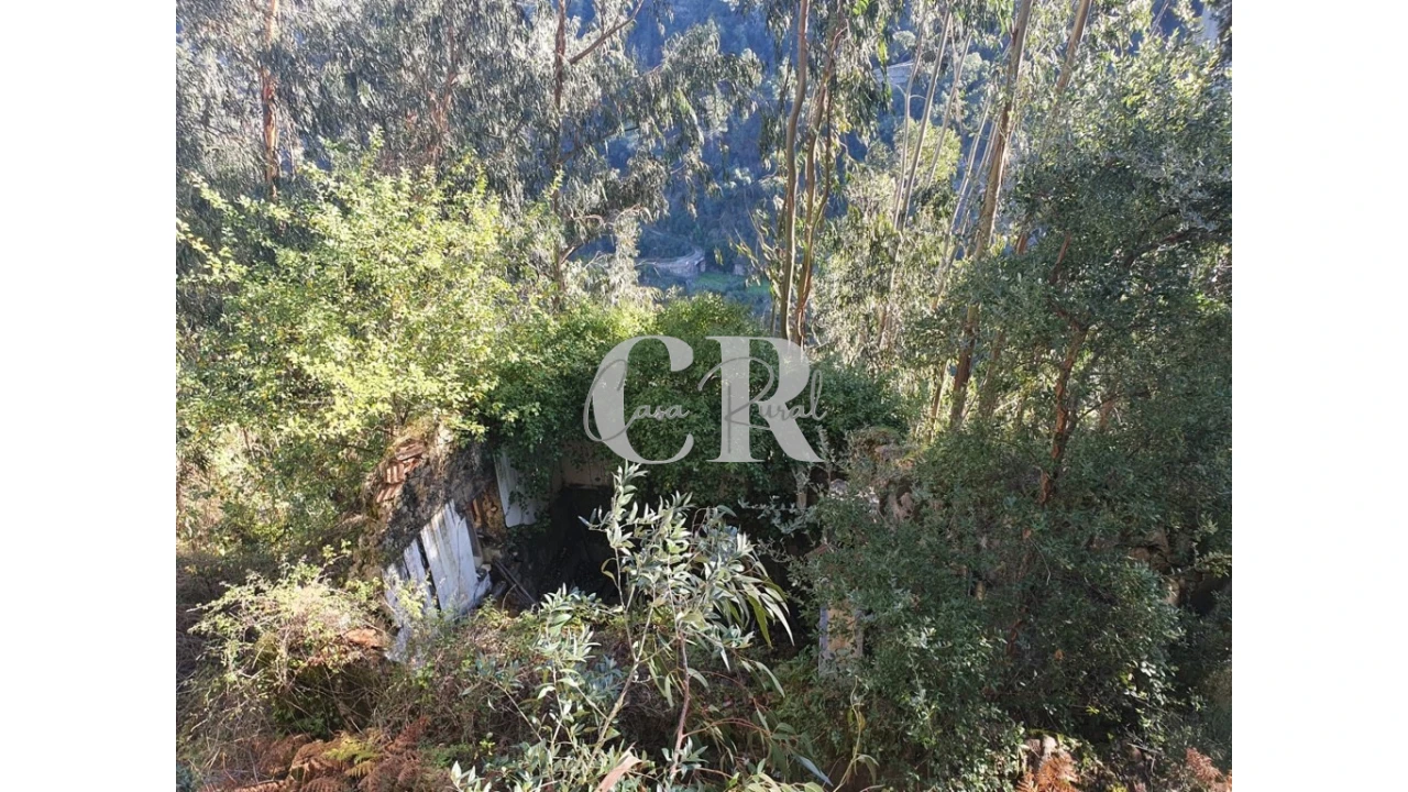 Terreno para Venda em Pedrogão Grande Foto 12
