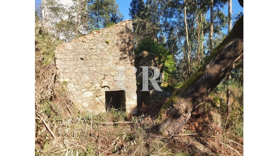Terreno para Venda em Pedrogão Grande Foto 9