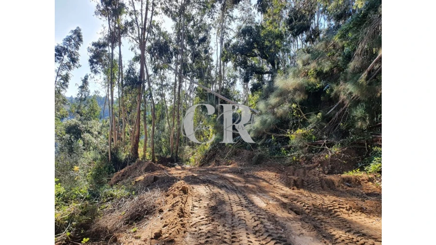 Terreno para Venda em Pedrogão Grande Foto 2